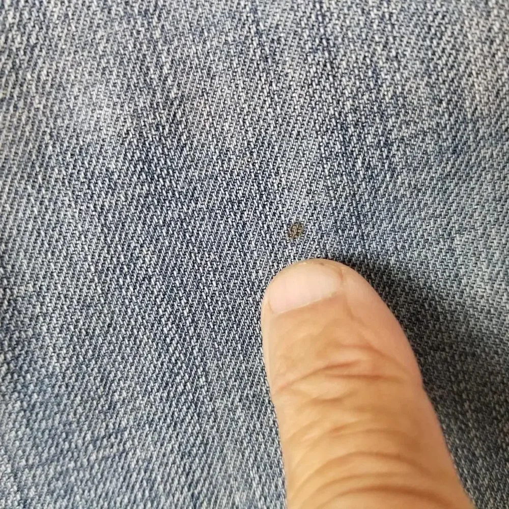 Levis brand levi